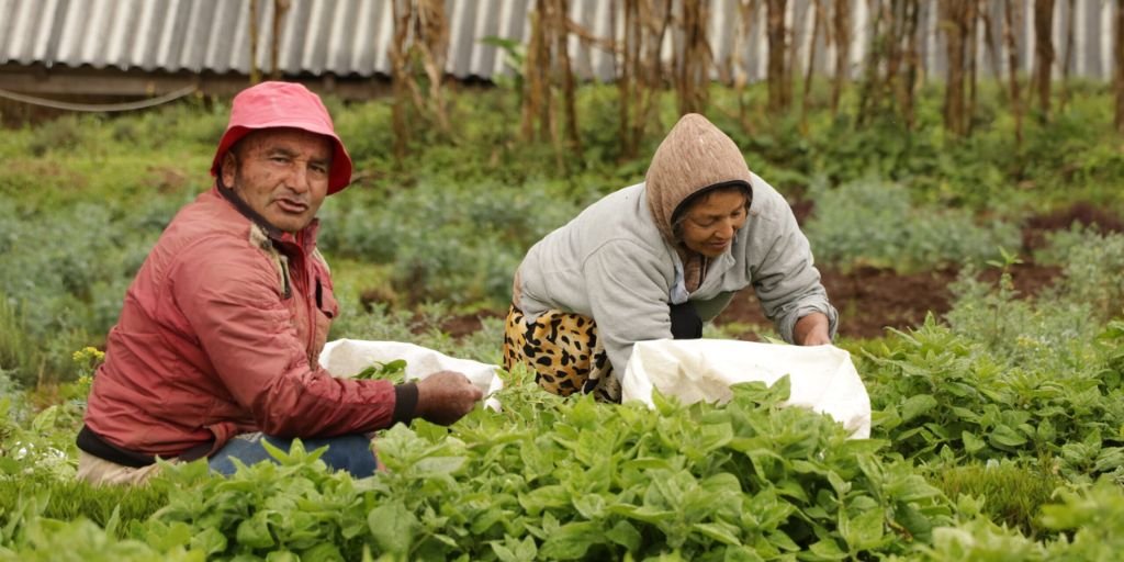 Justicia social y biodiversidad 2024-2