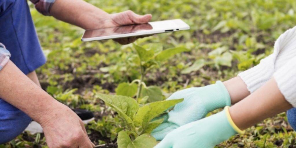 Agroecología vs Agricultura