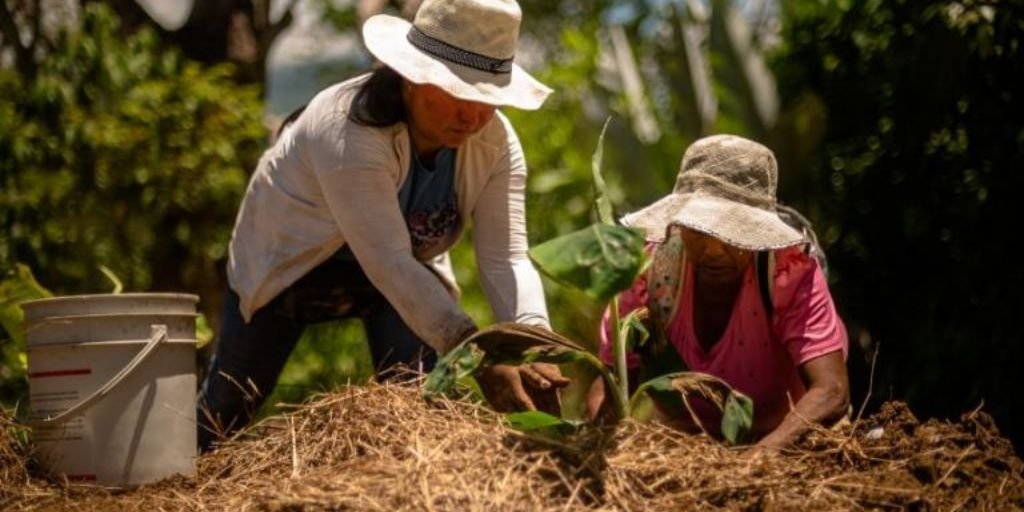 Justicia social y biodiversidad relacionados