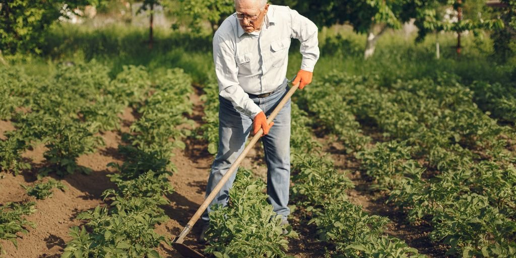 Agroecología