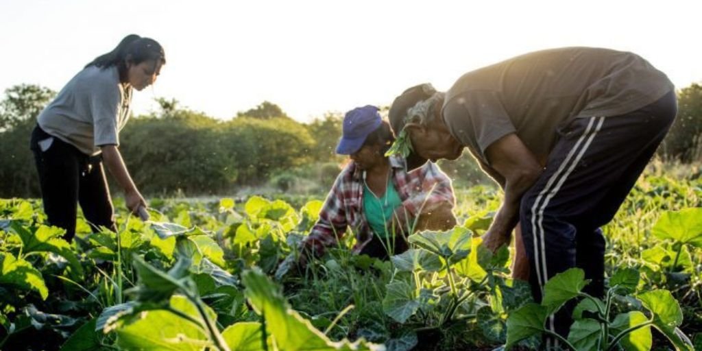 Agroecología 2024