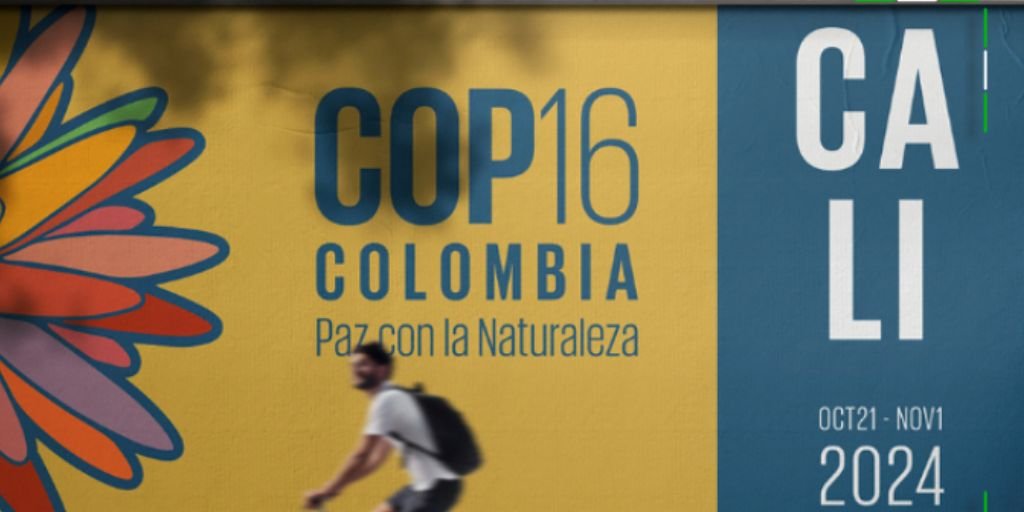 COP16 colombia resultados